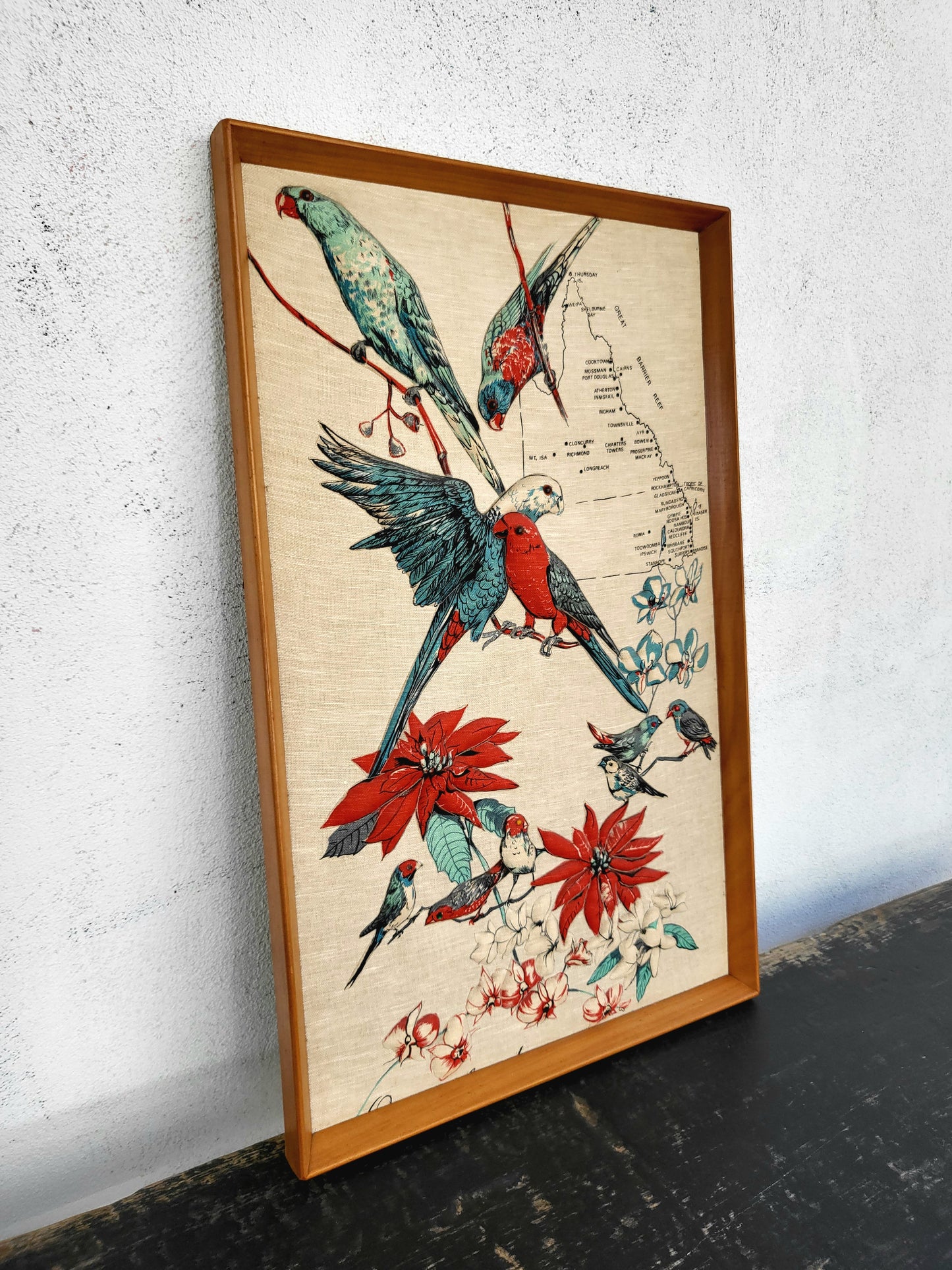 Vintage Framed Australian Birds & Flora Textile Art - Queensland Map