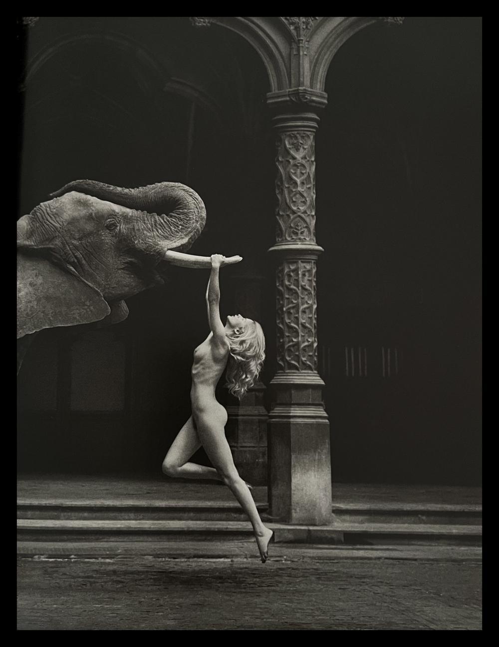 Photographic Print "Tusk" by Marc Lagrange