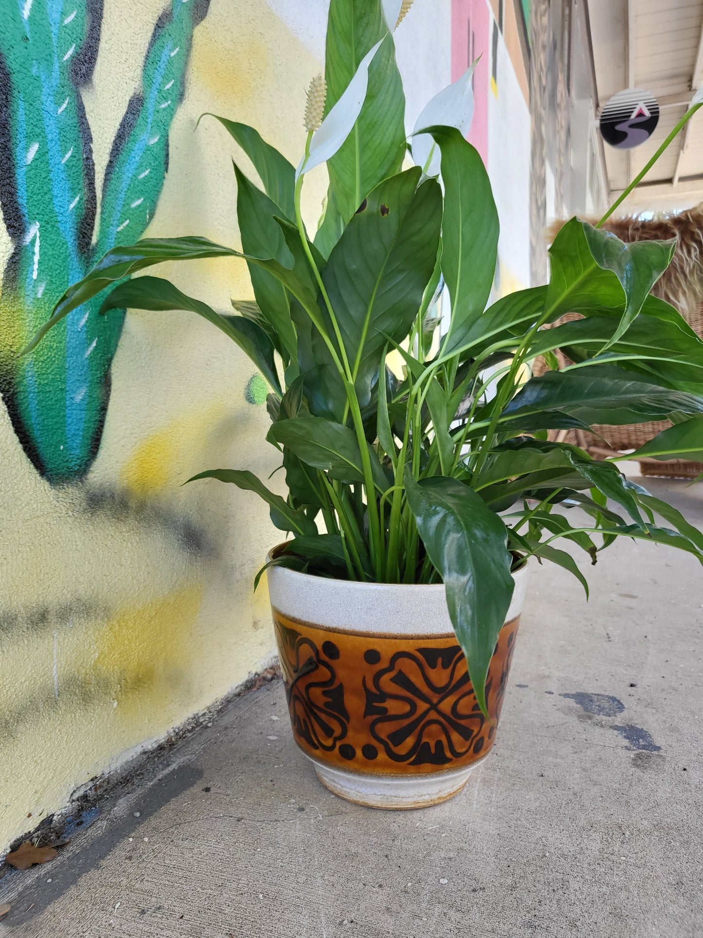 West German Mid-Century Ceramic Plant Pot