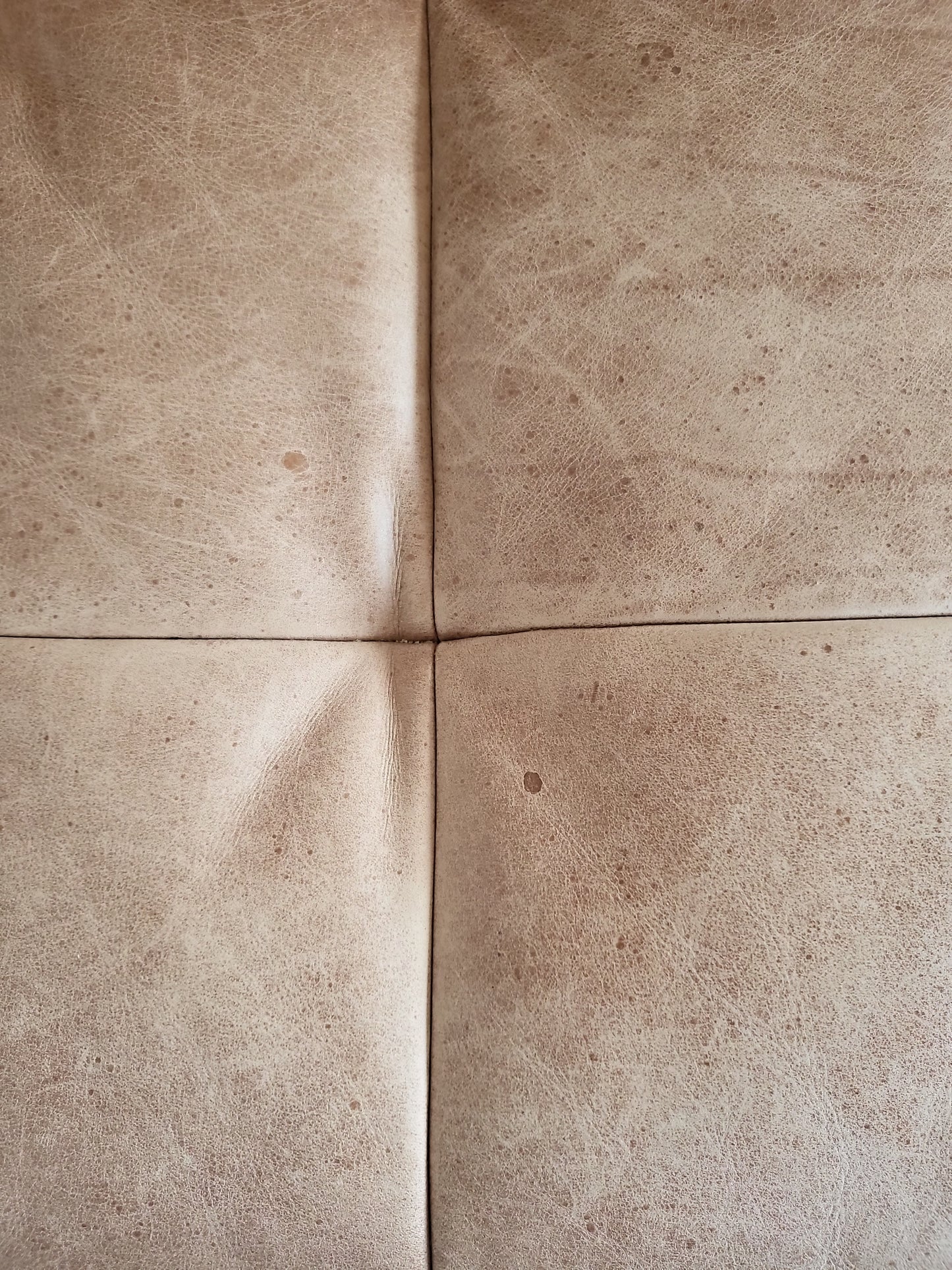 Full-Grain Leather Sofa | Contemporary | 222cm