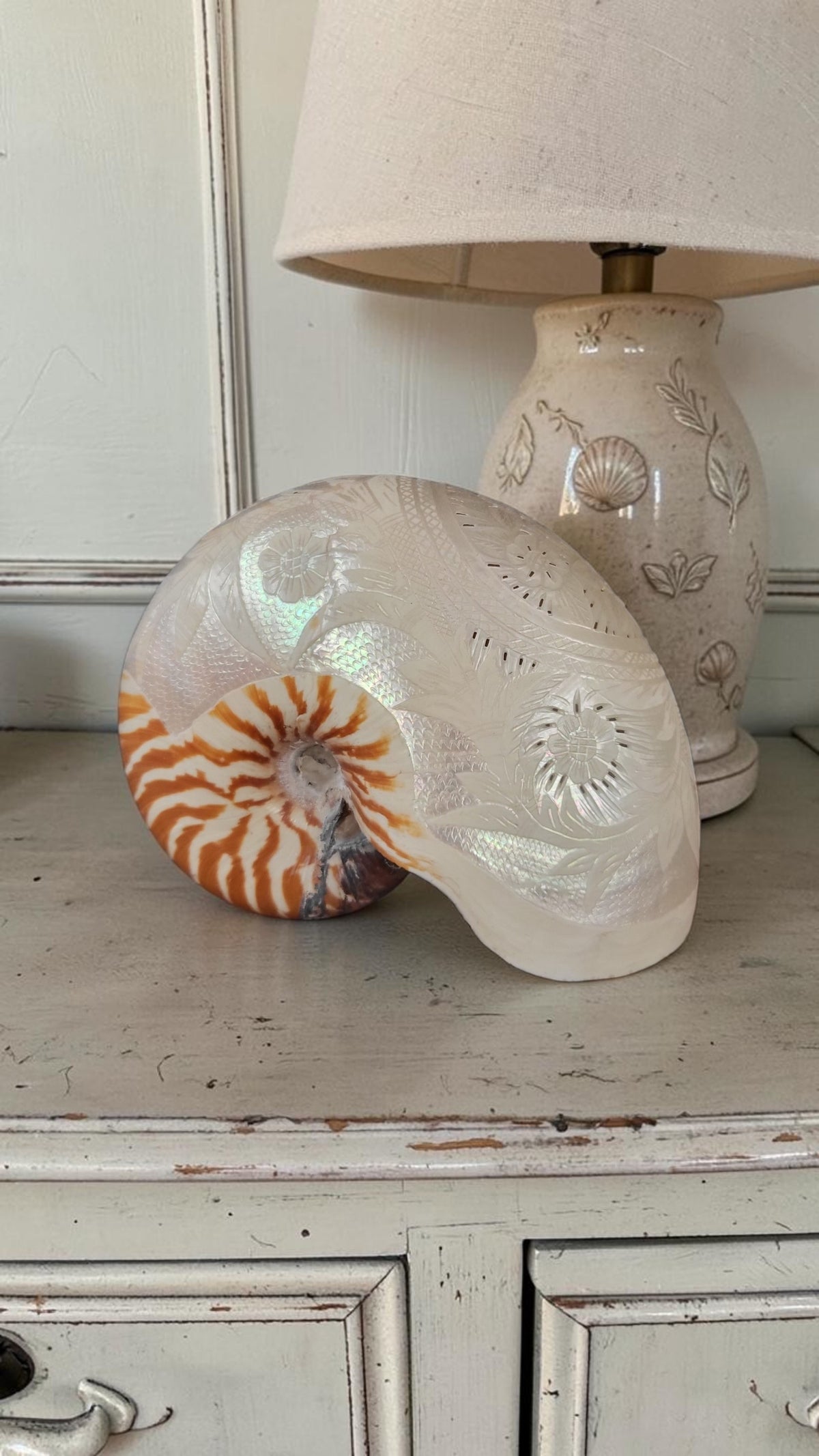 Antique Engraved Nautilus Shell - Attributed to the Communards