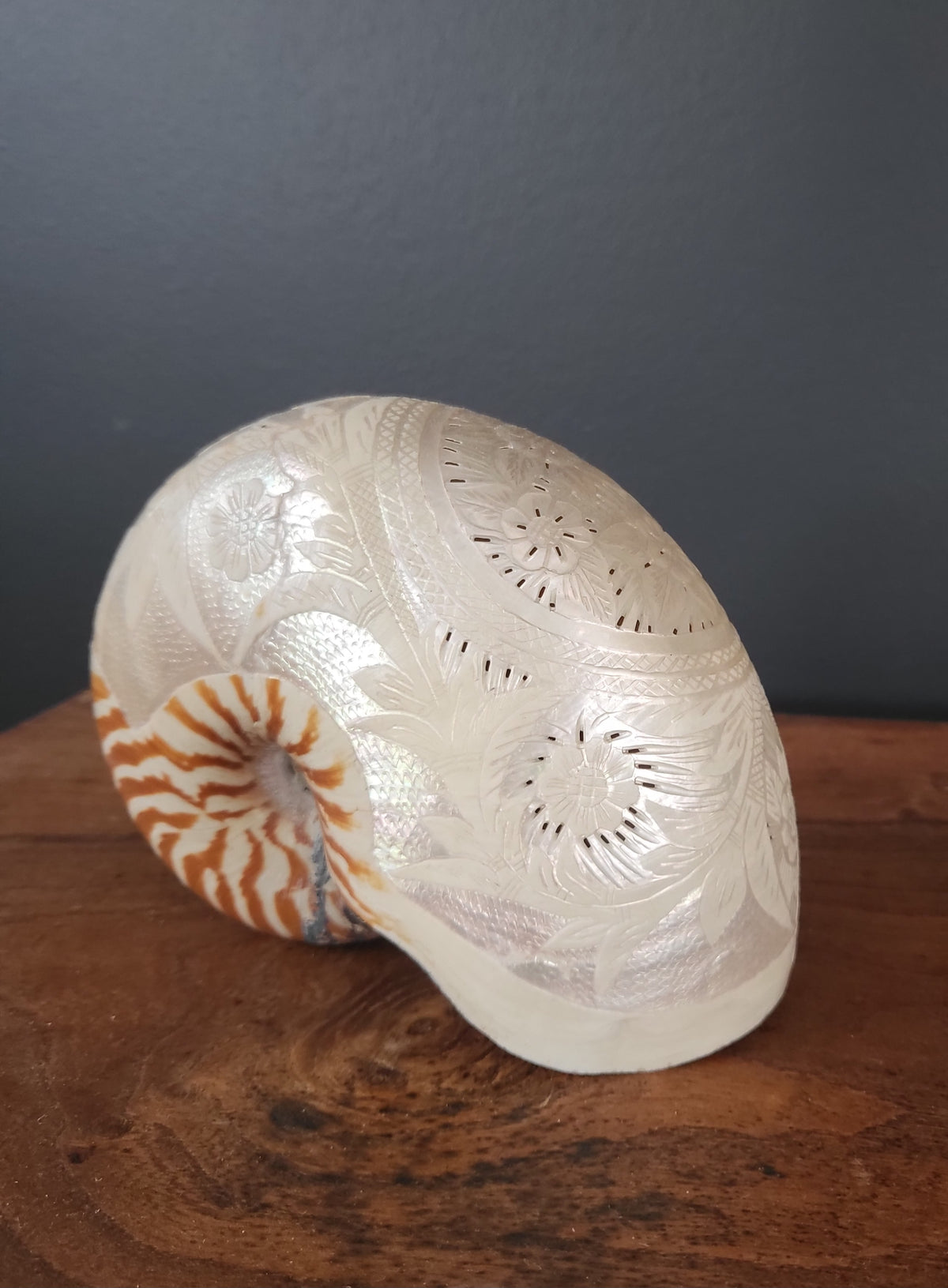 Antique Engraved Nautilus Shell - Attributed to the Communards