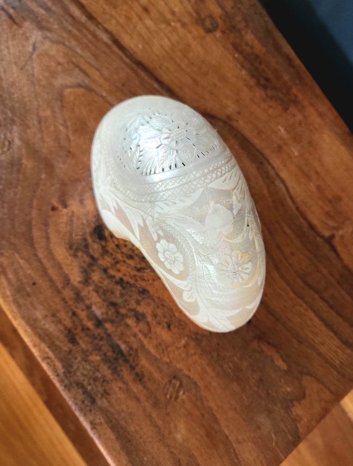 Antique Engraved Nautilus Shell - Attributed to the Communards