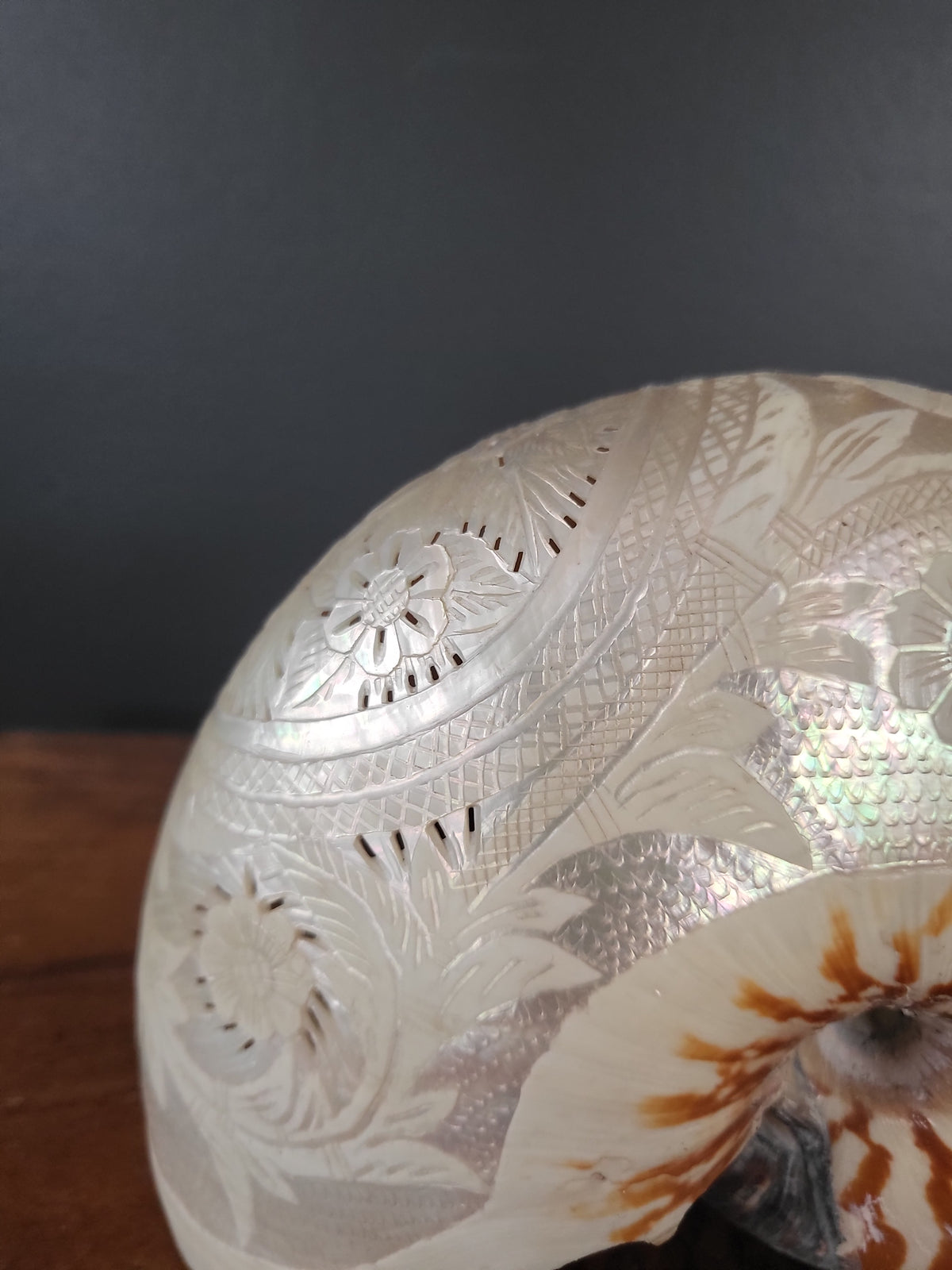 Antique Engraved Nautilus Shell - Attributed to the Communards